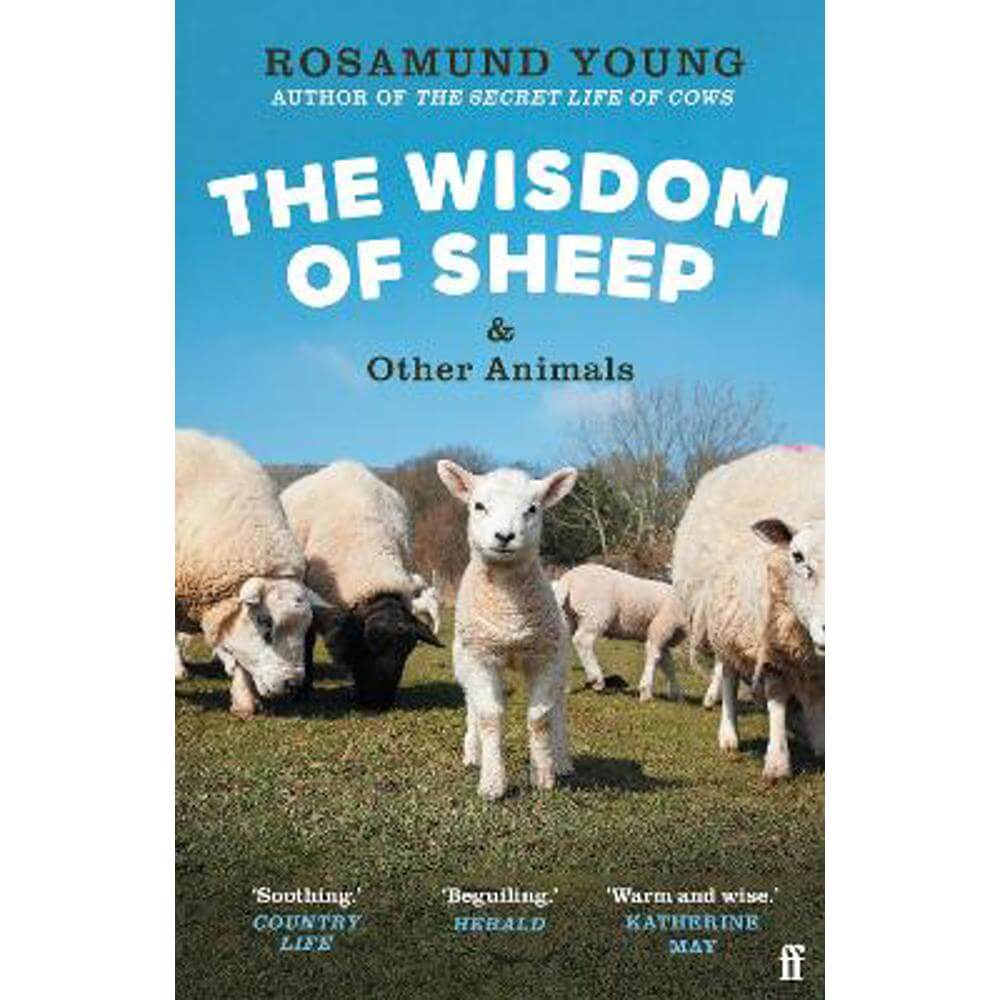 The Wisdom of Sheep & Other Animals: Observations from a Family Farm (Paperback) - Rosamund Young